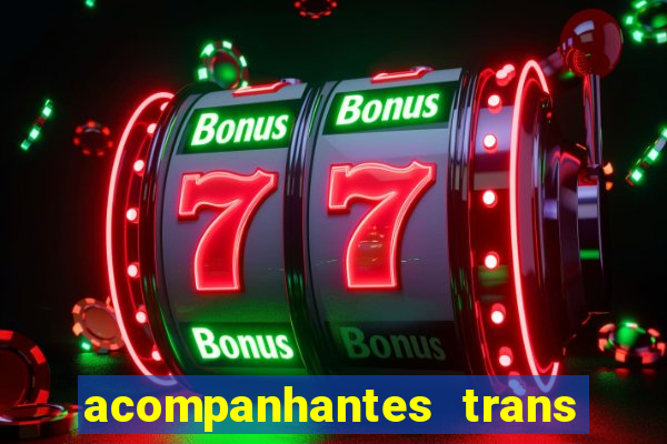 acompanhantes trans baixada fluminense